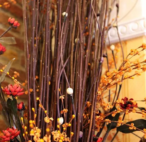 好莱坞酒店 2* 罗马